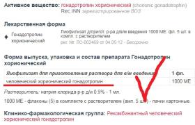 ХЧГ.jpg