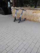 IMG_20221209_131610913.jpg