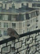 IMG_20221224_091032966.jpg
