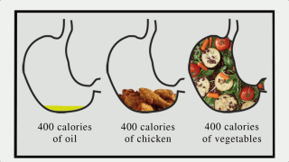 the-oils-that-make-up-junk-foods-like-fried-chicken-make-you-feel-less-full-than-the-same-number-of-calories-eaten-in-the-form-of-fruits-and-vegetables-because-they-take-up-less-volume-in-the-stomach.png