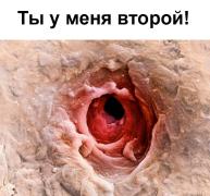 1701532164159164046.jpg