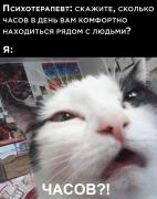 170296404813619436.jpg