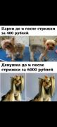 IMG-20231208-WA0016.jpg
