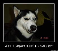IMG_20231209_180002_902.jpg