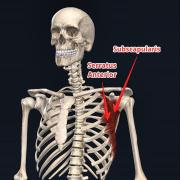 901AA233-6915-4D30-835B-1DD4FF32F87A.jpeg