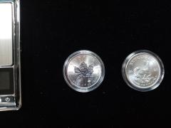 IMG_20231218_152314.jpg