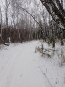 IMG_20241203_131630_089.jpg