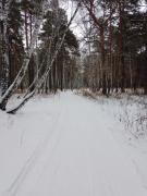 IMG_20241203_125940_987.jpg