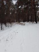 IMG_20241203_125958_735.jpg