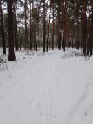 IMG_20241203_125830_593.jpg