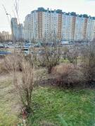 IMG_1615.jpeg