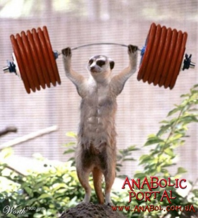 Что делать когда онемела мышца после тренировки