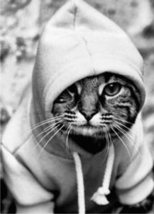 photo-7245.jpg?_r=1562486065